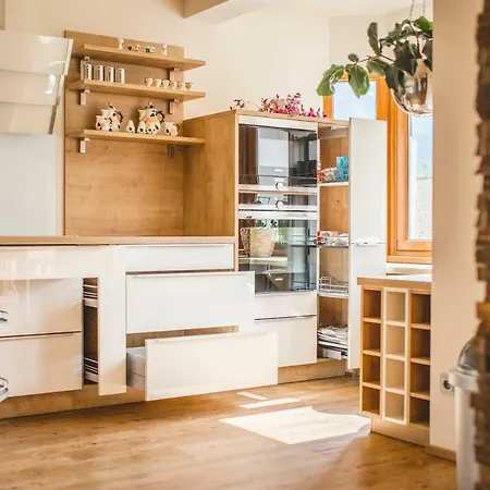 Downtown Alpi Apartment