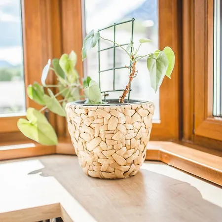 Downtown Alpi Apartament *